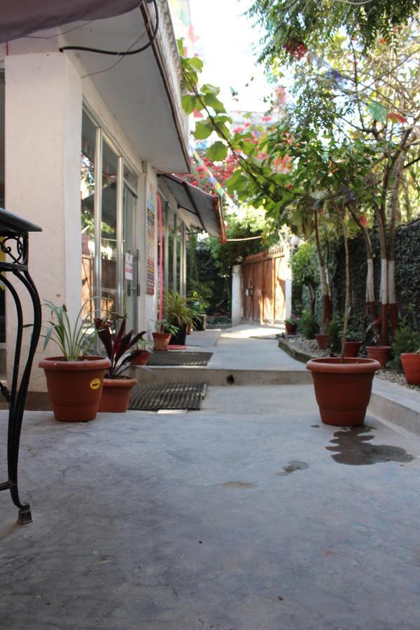 Hostel Himalaya Kathmandu Exterior foto
